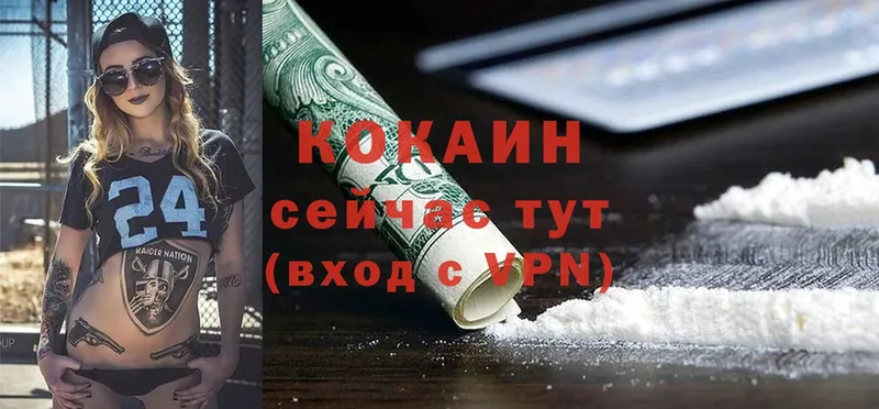 Cocaine FishScale  Краснозаводск 